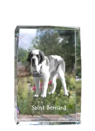 bernardyn-pies-sw-bernarda-krysztal-ze-zdjeciem-psa-zdjecie-w-szkle-n