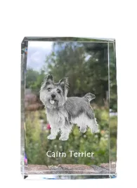 cairn-terrier-krysztal-ze-zdjeciem-psa-zdjecie-w-szkle-nowoczesna-ekspo