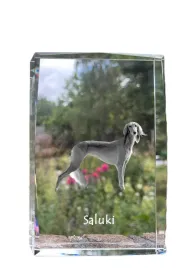 chart-perski-saluki-i-krysztal-ze-zdjeciem-psa-zdjecie-w-szkle-nowocze