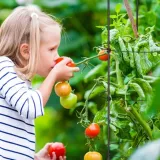 podpora-do-pomidorow-3szt-150cm-liczba-sztuk-3-szt