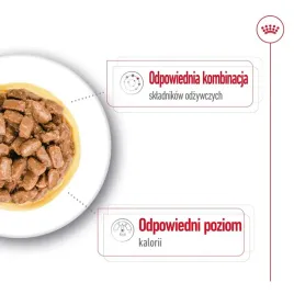 royal-canin-mini-ageing-12-mokra-karma-dla-psa-12x-85-g-royal-canin