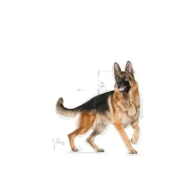 royal-canin-bhn-german-sh-ad-sucha-karma-dla-psa-doroslego-11-kg-royal