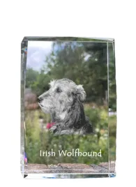 wilczarz-irlandzki-irish-wolfhound-krysztal-ze-zdjeciem-psa-zdjecie-w-s