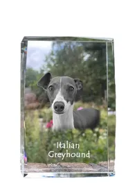 charcik-wloski-italian-greyhound-krysztal-ze-zdjeciem-psa-zdjecie-w-szk