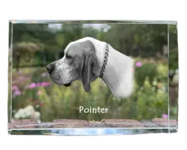 pointer-i-krysztal-ze-zdjeciem-psa-zdjecie-w-szkle-nowoczesna-ekspozycj