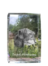 jamnik-i-krysztal-ze-zdjeciem-psa-zdjecie-w-szkle-nowoczesna-ekspozycja