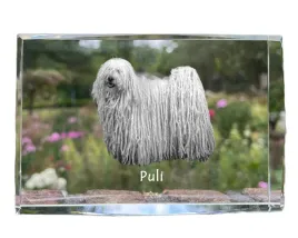 puli-krysztal-ze-zdjeciem-psa-zdjecie-w-szkle-nowoczesna-ekspozycja-zdj