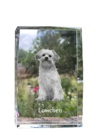 lwi-piesek-lowchen-krysztal-ze-zdjeciem-psa-zdjecie-w-szkle-nowoczesna