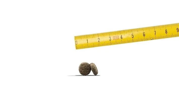 josera-mini-junior-900g-josera-rodzaj-karmy-wysokobialkowa