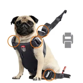 zolux-szelki-dla-psa-travel-safe-s-czerwone-zolux