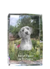basset-bretonski-basset-fauve-de-bretagne-krysztal-ze-zdjeciem-psa-zdje