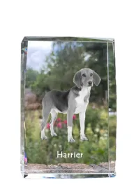 harrier-krysztal-ze-zdjeciem-psa-zdjecie-w-szkle-nowoczesna-ekspozycja