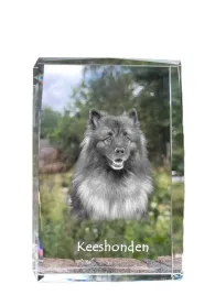 szpic-wilczy-keeshond-krysztal-ze-zdjeciem-psa-zdjecie-w-szkle-nowocze