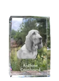 redbone-coonhound-krysztal-ze-zdjeciem-psa-zdjecie-w-szkle-nowoczesna-e
