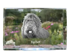 barbet-francuski-pies-dowodny-krysztal-ze-zdjeciem-psa-zdjecie-w-szkle
