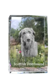 chart-szkocki-deerhound-krysztal-ze-zdjeciem-psa-zdjecie-w-szkle-nowoc