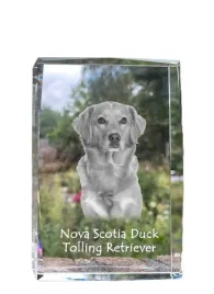 retriever-z-nowej-szkocji-toller-krysztal-ze-zdjeciem-psa-zdjecie-w-szk