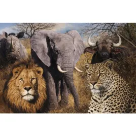 realg-zestaw-do-malowania-diamentami-5d-50-65-cm-safari