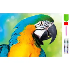 realg-rc-k-145-diamentowe-malowanie-zestaw-5d-20-x-30-cm-papuga