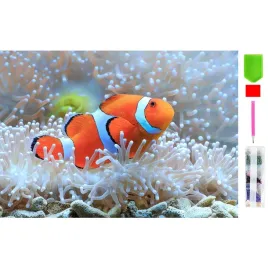 realg-rc-k-144-zestaw-do-malowania-diamentowego-5d-20-x-30-cm-nemo