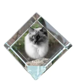 ragdoll-krysztalowa-kostka-ze-zdjeciem-kota-zdjecie-konia-w-krysztale-s