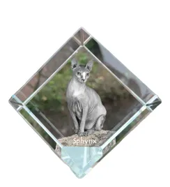 sfinks-krysztalowa-kostka-ze-zdjeciem-kota-zdjecie-konia-w-krysztale-sz