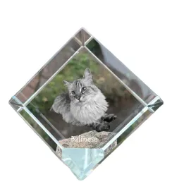 balijski-krysztalowa-kostka-ze-zdjeciem-kota-zdjecie-konia-w-krysztale