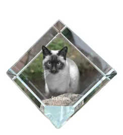 syjamski-krysztalowa-kostka-ze-zdjeciem-kota-zdjecie-konia-w-krysztale