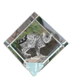 bengalski-krysztalowa-kostka-ze-zdjeciem-kota-zdjecie-konia-w-krysztale