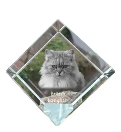 brytyjski-dlugowlosy-krysztalowa-kostka-ze-zdjeciem-kota-zdjecie-konia-w
