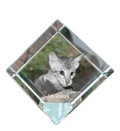 savannah-krysztalowa-kostka-ze-zdjeciem-kota-zdjecie-konia-w-krysztale