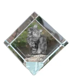norweski-lesny-krysztalowa-kostka-ze-zdjeciem-kota-zdjecie-konia-w-krysz
