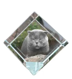 szkocki-fold-krysztalowa-kostka-ze-zdjeciem-kota-zdjecie-konia-w-kryszta