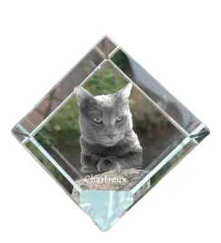 chartreux-krysztalowa-kostka-ze-zdjeciem-kota-zdjecie-konia-w-krysztale