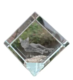 hawana-brazowa-krysztalowa-kostka-ze-zdjeciem-kota-zdjecie-konia-w-krysz