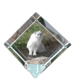 himalajski-krysztalowa-kostka-ze-zdjeciem-kota-zdjecie-konia-w-krysztale