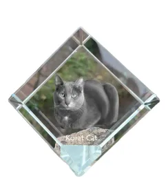korat-krysztalowa-kostka-ze-zdjeciem-kota-zdjecie-konia-w-krysztale-sze