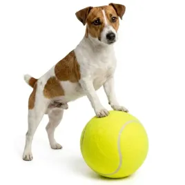 pilka-tenis-ziemny-xl-22cm