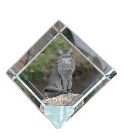 somali-krysztalowa-kostka-ze-zdjeciem-kota-zdjecie-konia-w-krysztale-sz
