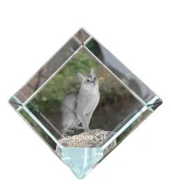 singapura-krysztalowa-kostka-ze-zdjeciem-kota-zdjecie-konia-w-krysztale