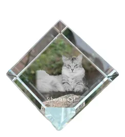syberyjski-krysztalowa-kostka-ze-zdjeciem-kota-zdjecie-konia-w-krysztale