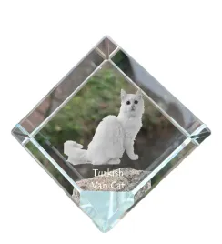 turecka-wiewiorka-krysztalowa-kostka-ze-zdjeciem-kota-zdjecie-konia-w-kr