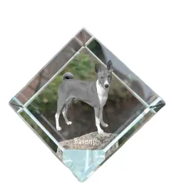 basenji-basendzi-congo-dog-krysztalowa-kostka-ze-zdjeciem-zdjecie-koni
