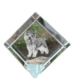 cairn-terrier-krysztalowa-kostka-ze-zdjeciem-zdjecie-konia-w-krysztale