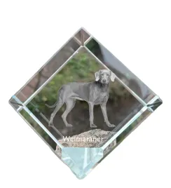 wyzel-weimarski-weimaraner-krysztalowa-kostka-ze-zdjeciem-zdjecie-konia