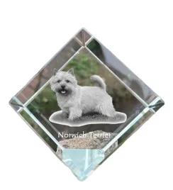 norwich-terrier-krysztalowa-kostka-ze-zdjeciem-zdjecie-konia-w-krysztale