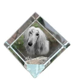 chart-afganski-krysztalowa-kostka-ze-zdjeciem-zdjecie-konia-w-krysztale