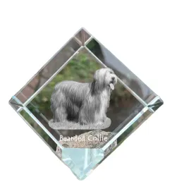 bearded-collie-highland-collie-krysztalowa-kostka-ze-zdjeciem-zdjecie-k