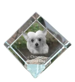 grzywacz-chinski-krysztalowa-kostka-ze-zdjeciem-zdjecie-konia-w-krysztal