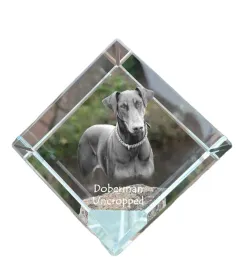 doberman-dobermann-i-krysztalowa-kostka-ze-zdjeciem-zdjecie-konia-w-kry